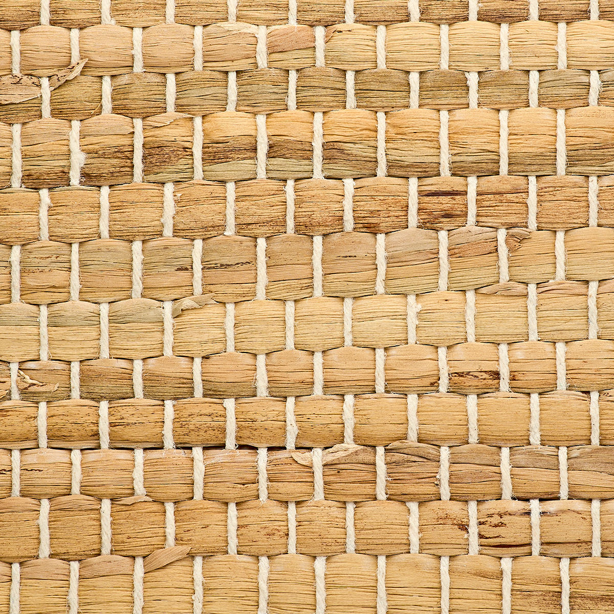 Purchase 3146 Braided Walls Almond Phillip Jeffries Wallpaper