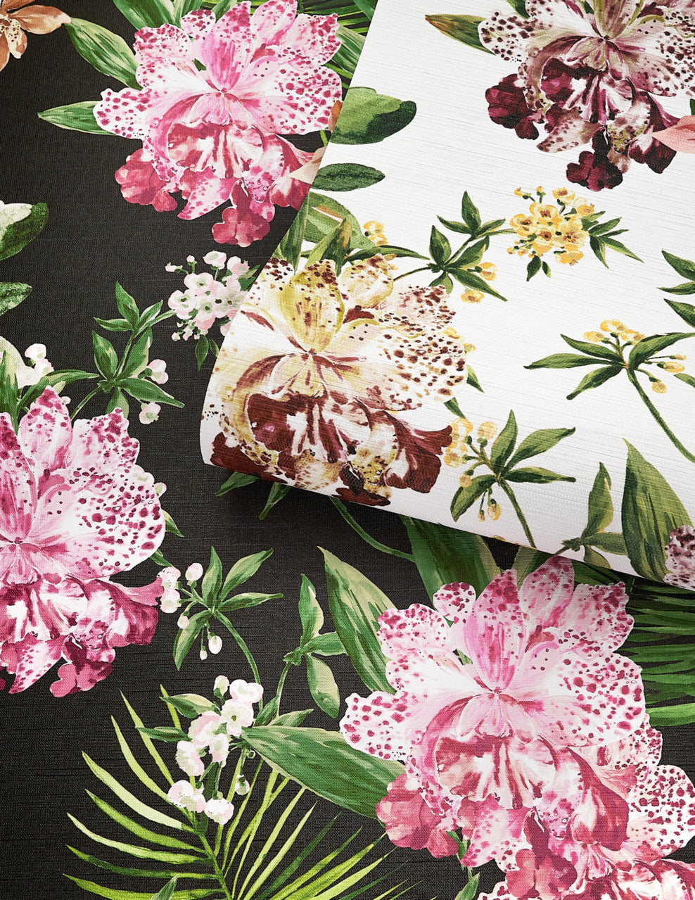 Purchase Phillip Jeffries Wallpaper - 10556, Aloha Orchids - Mai Tai Multi 1