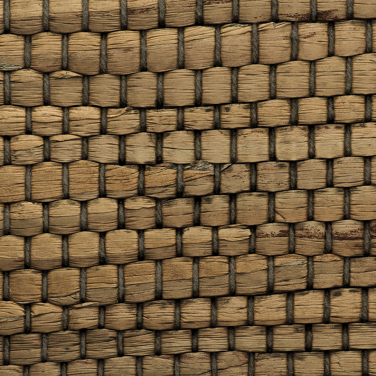 Purchase 3148 Braided Walls Mellow Moss Phillip Jeffries Wallpaper