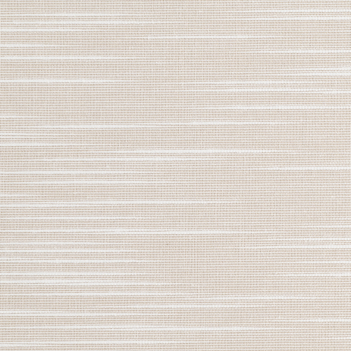 Purchase Phillip Jeffries Wallpaper - 10263, Set Sail - Queen Conch 