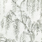 Purchase Phillip Jeffries Wallpaper - 27805, Whispering Willows - Graceful Grey 