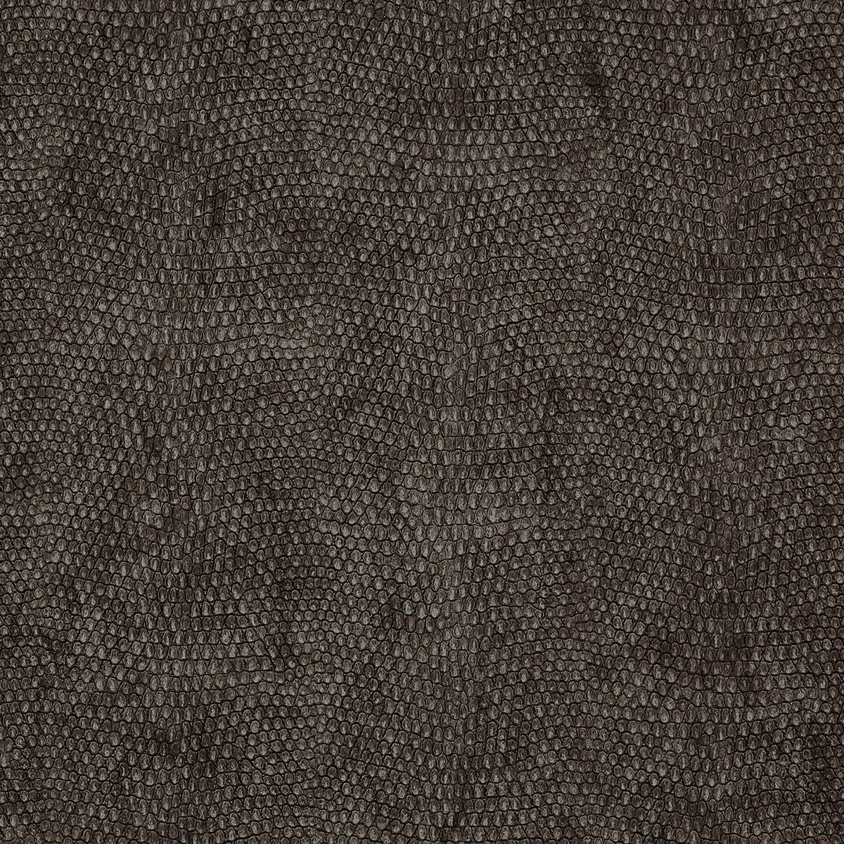Purchase 8078 Vinyl Snakeskin Grey Ora Grasscloth by Phillip Jeffries Wallpaper
