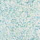 Purchase Phillip Jeffries Wallpaper - 9648, Pretty Petals - Seaglass 