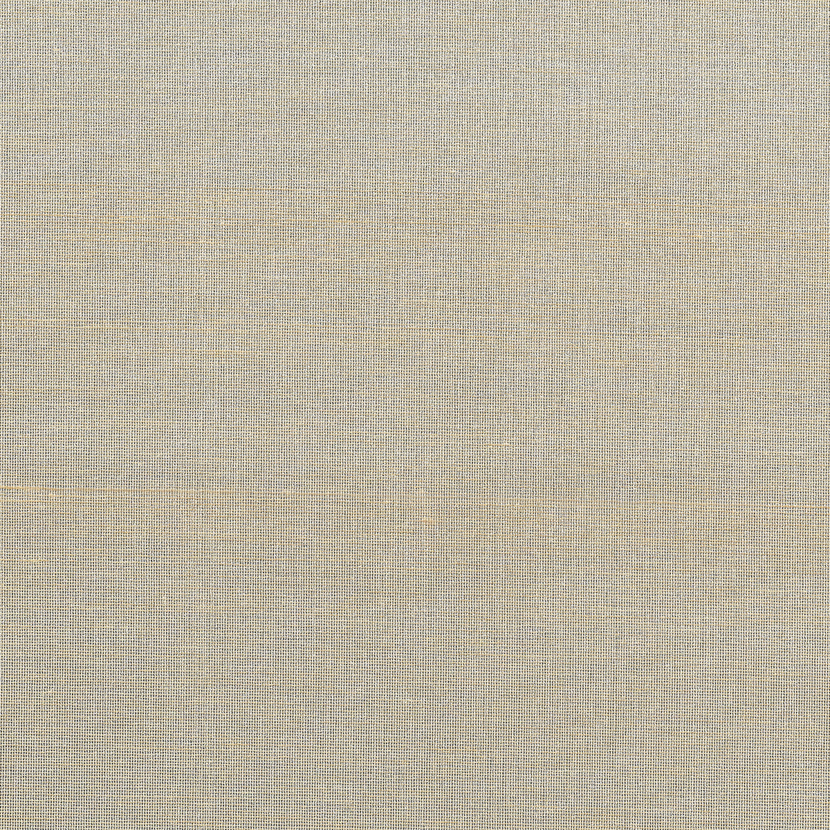 Purchase 2306 Star Dust Silk Champagne Glitz Grasscloth by Phillip Jeffries Wallpaper