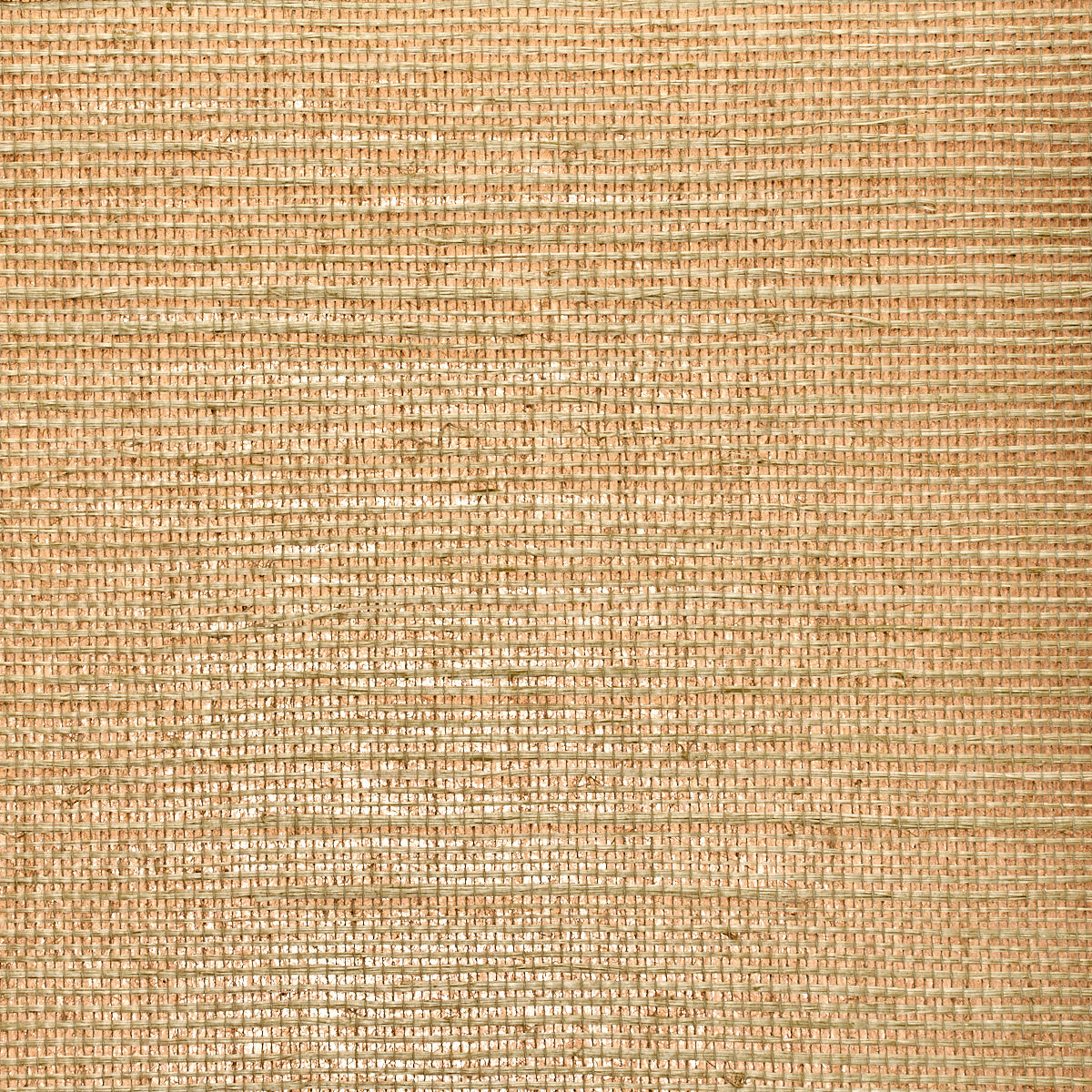Purchase 5226 Glam Grass Beige on Gold Phillip Jeffries Wallpaper