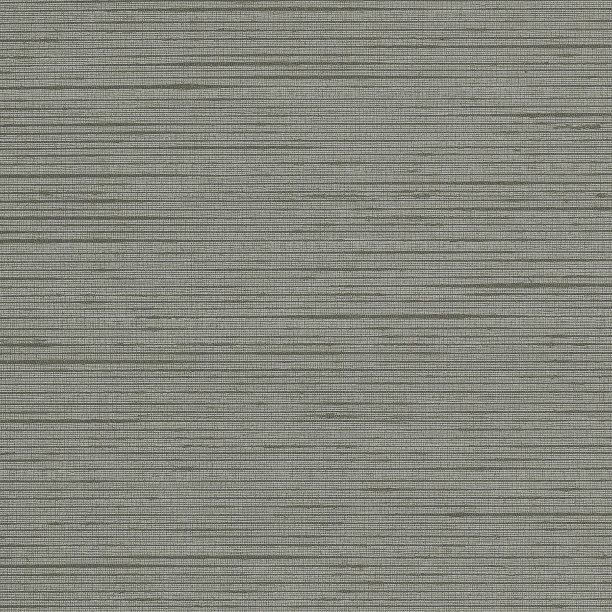 Purchase Phillip Jeffries Wallpaper - 10061, Seasonal Silk - Graphite Gray 