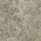 Purchase Phillip Jeffries Wallpaper - 31502, Midsummer - Sepia Grove 