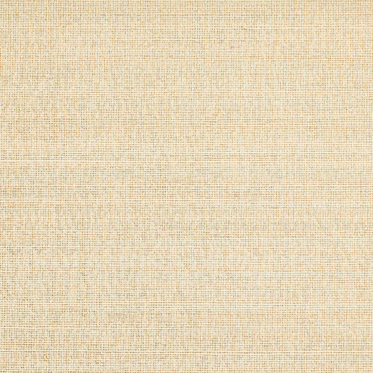 Purchase Phillip Jeffries Wallpaper - 10133, Abaca Mist - Sunrise Serenity 