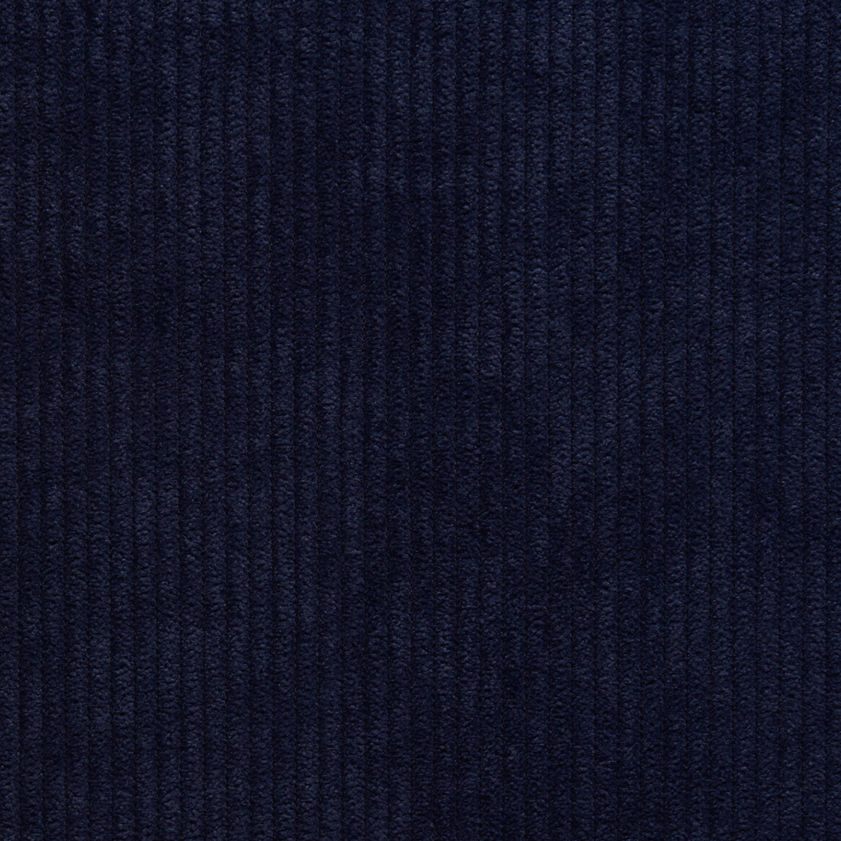 Purchase 8926 Corduroy Cloth Navy Rib Phillip Jeffries