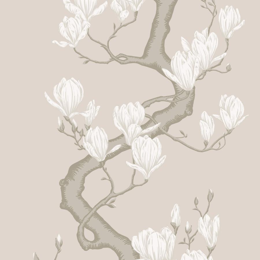 Purchase 128/1003 Magnolia Tree, Soft Cream Botanical - Cole & Son Wallpaper