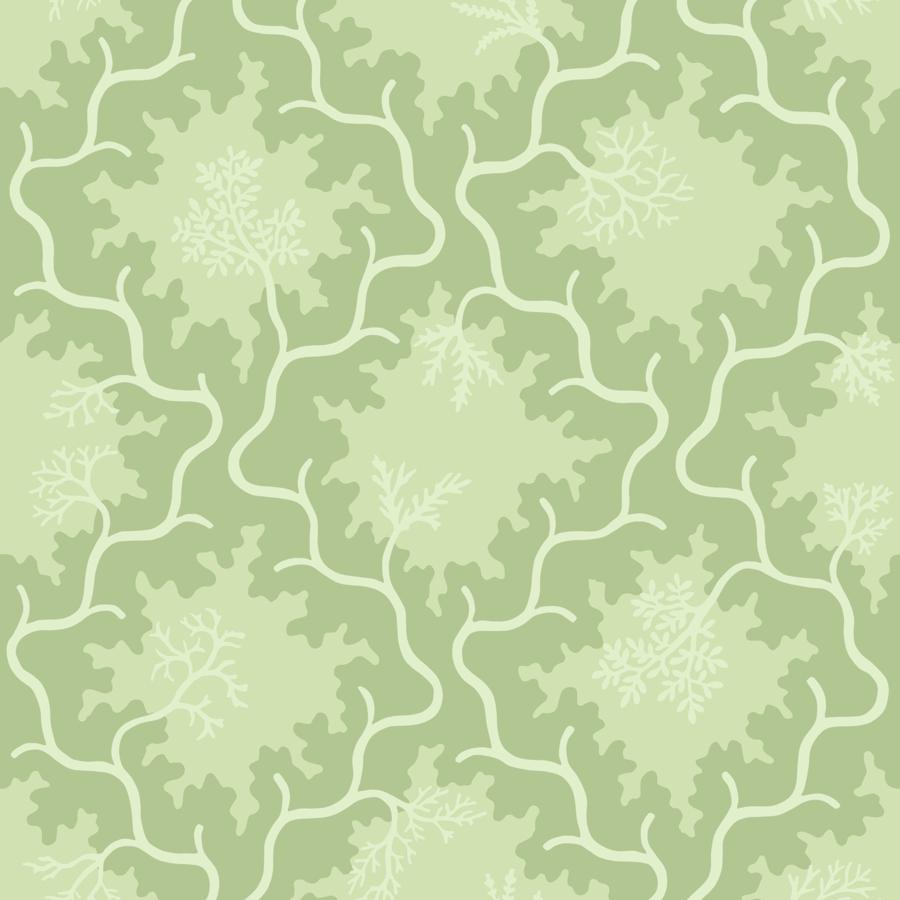 Purchase 128/4022 Moss Trellis, Matcha Ogee - Cole & Son Wallpaper