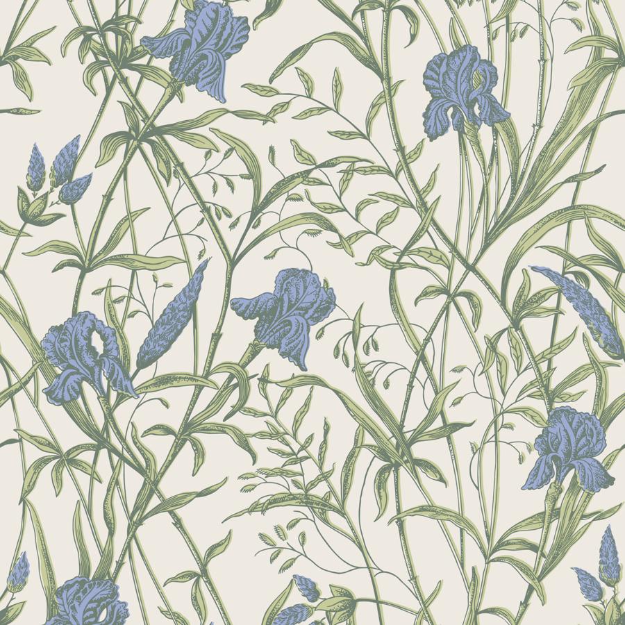Purchase 128/5023 Iris, Iris Blue On Stone Botanical - Cole & Son Wallpaper