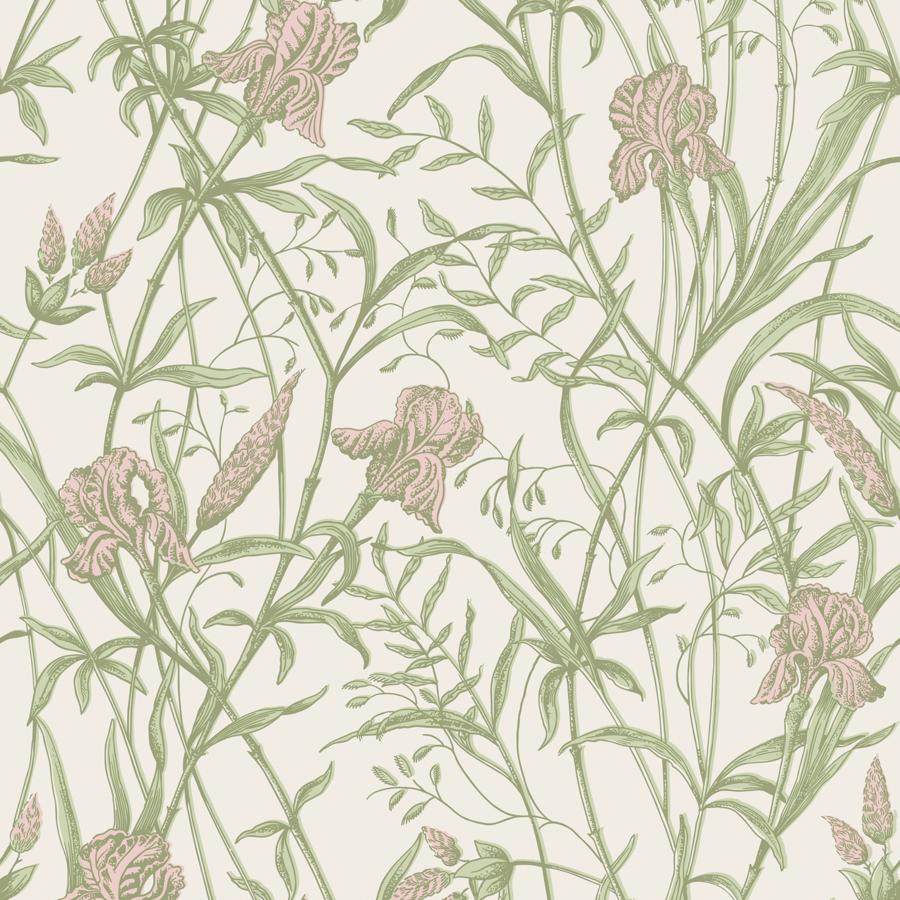 Purchase 128/5025 Iris, Soft Coral On Chalk Botanical - Cole & Son Wallpaper