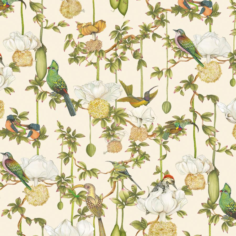 Purchase 129/2004-Cs Baobab Botanica, Stone - Cole & Son Wallpaper - 129/2004.Cs.0