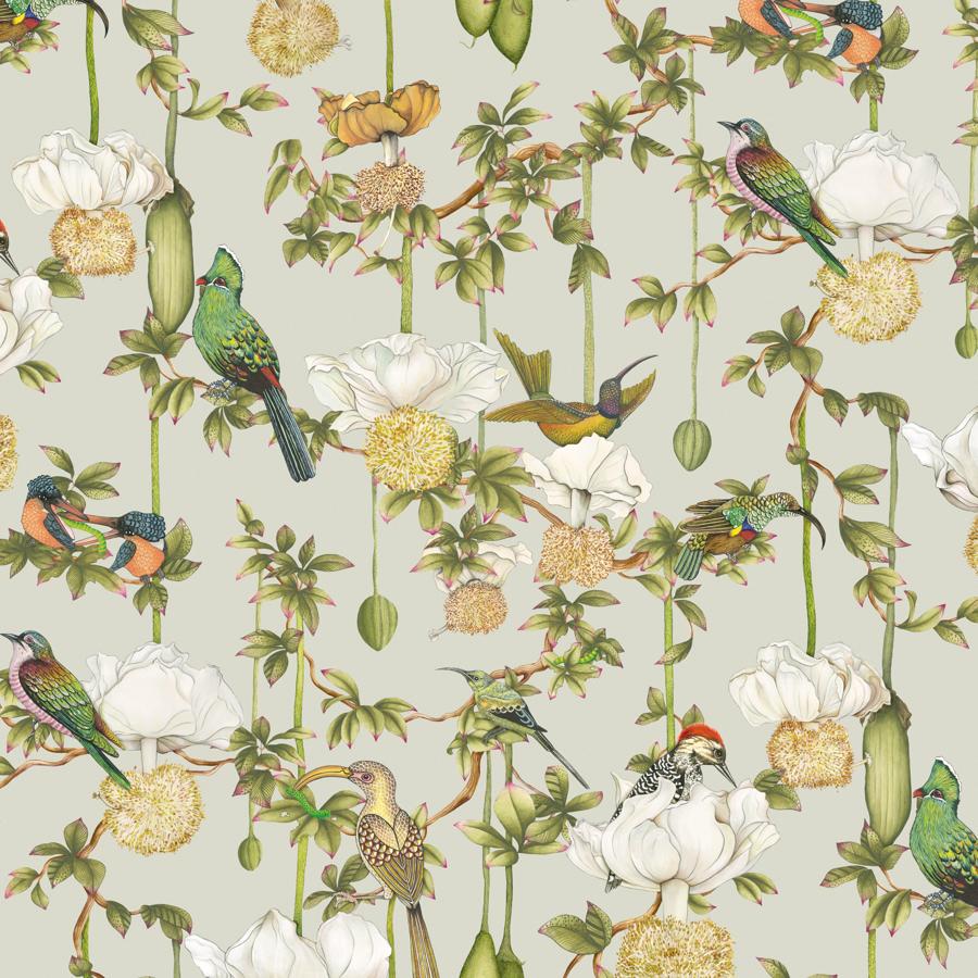 Purchase 129/2006-Cs Baobab Botanica, Duck Egg - Cole & Son Wallpaper - 129/2006.Cs.0