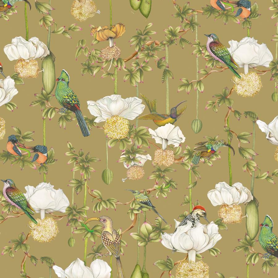 Purchase 129/2008-Cs Baobab Botanica, Safari - Cole & Son Wallpaper - 129/2008.Cs.0