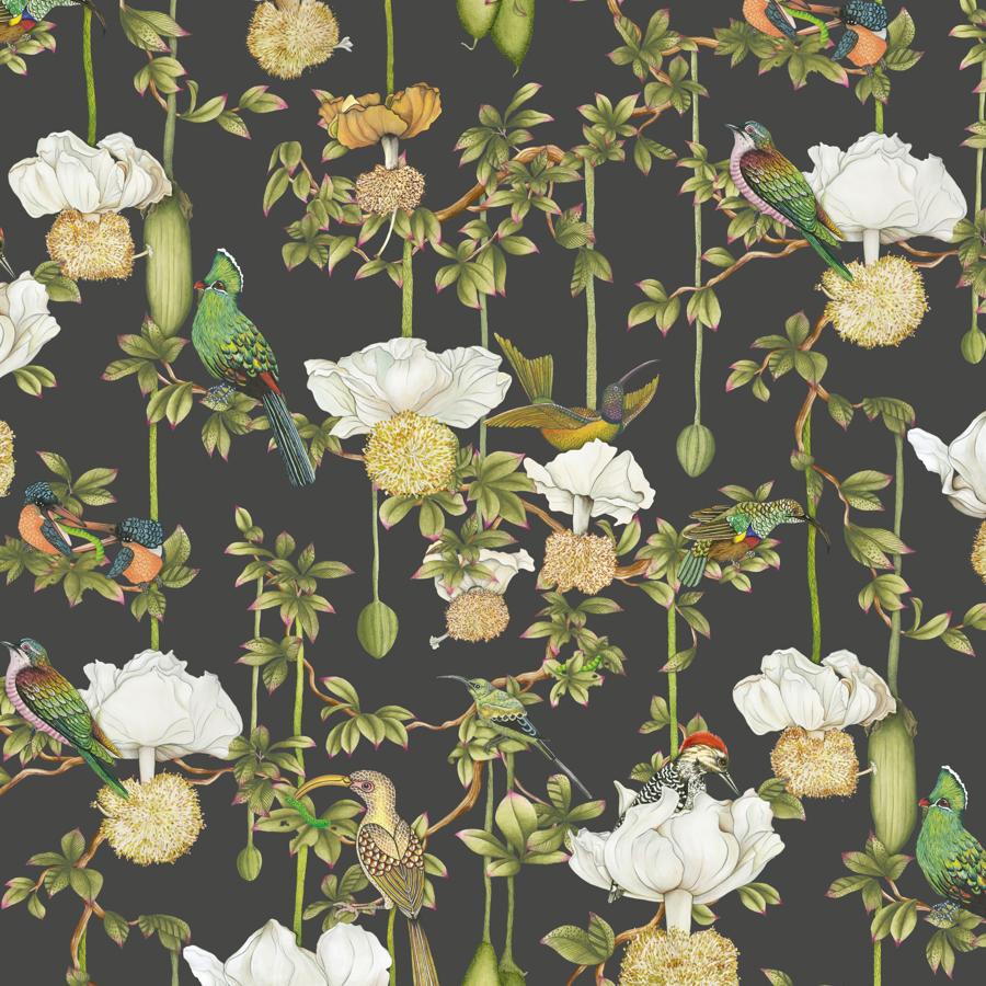 Purchase 129/2009-Cs Baobab Botanica, Onyx - Cole & Son Wallpaper - 129/2009.Cs.0