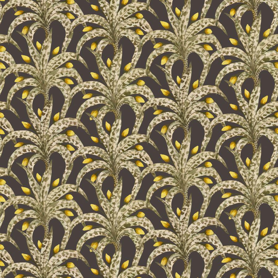 Purchase 129/5019-Cs Afrika Damask, Onyx - Cole & Son Wallpaper - 129/5019.Cs.0