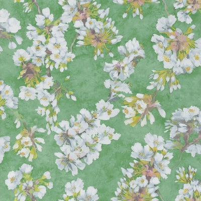 Purchase Pdg1148/02 | Fleur D'Assam - Designer Guild Wallpaper
