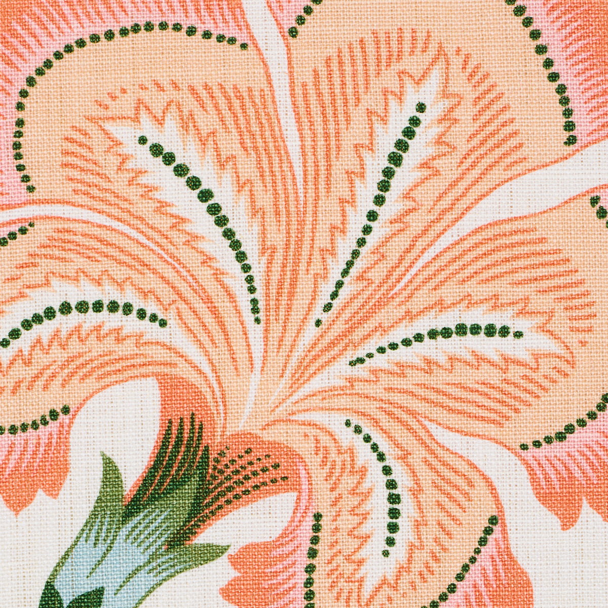 174034 | Hothouse Flowers, Sunshine - Schumacher Fabric