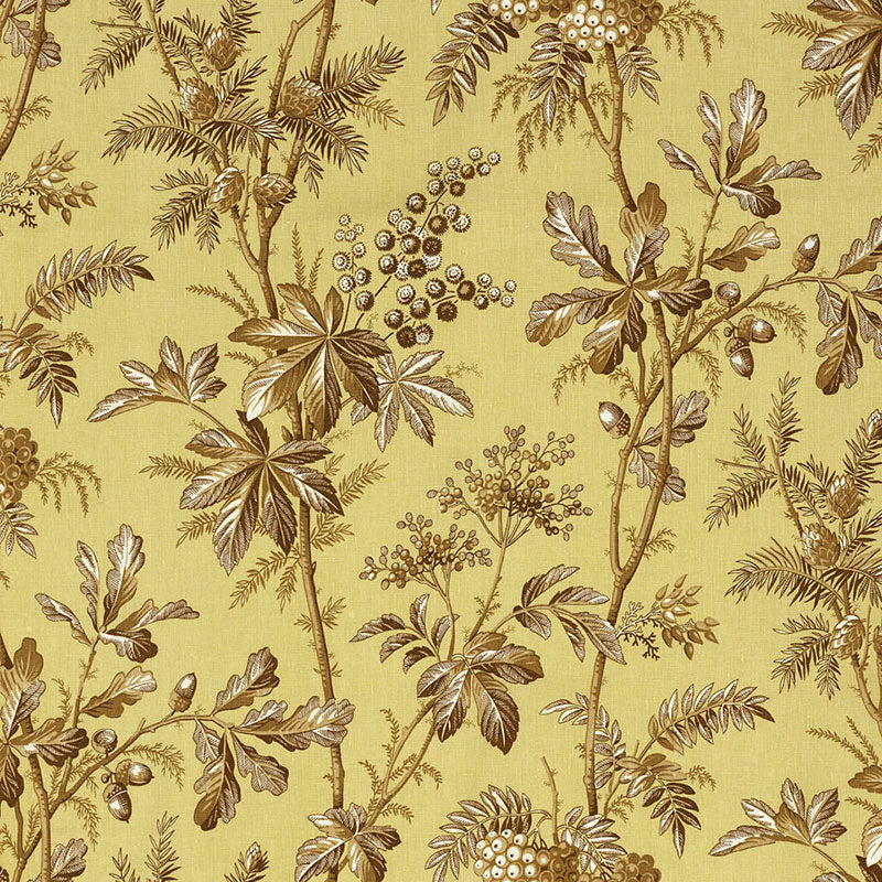 Purchase 174110 | Brantwood Vine, Pear - Schumacher Fabric