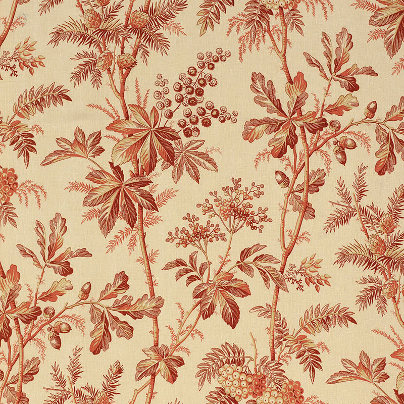 Buy 174112 Brantwood Vine Currant by Schumacher Fabric