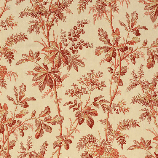 Buy 174112 Brantwood Vine Currant by Schumacher Fabric