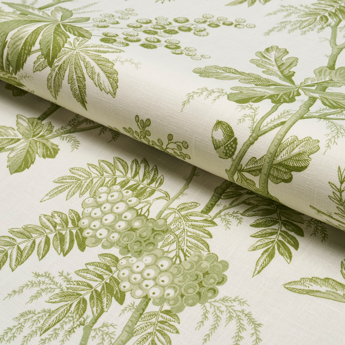 Purchase 174114 | Brantwood Vine, Leaf - Schumacher Fabric