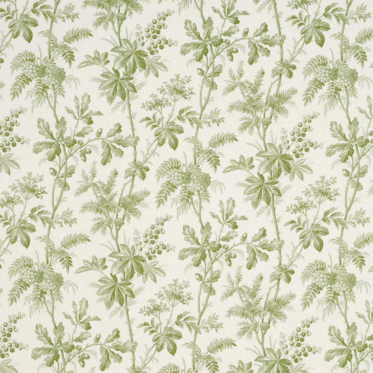 Purchase 174114 | Brantwood Vine, Leaf - Schumacher Fabric