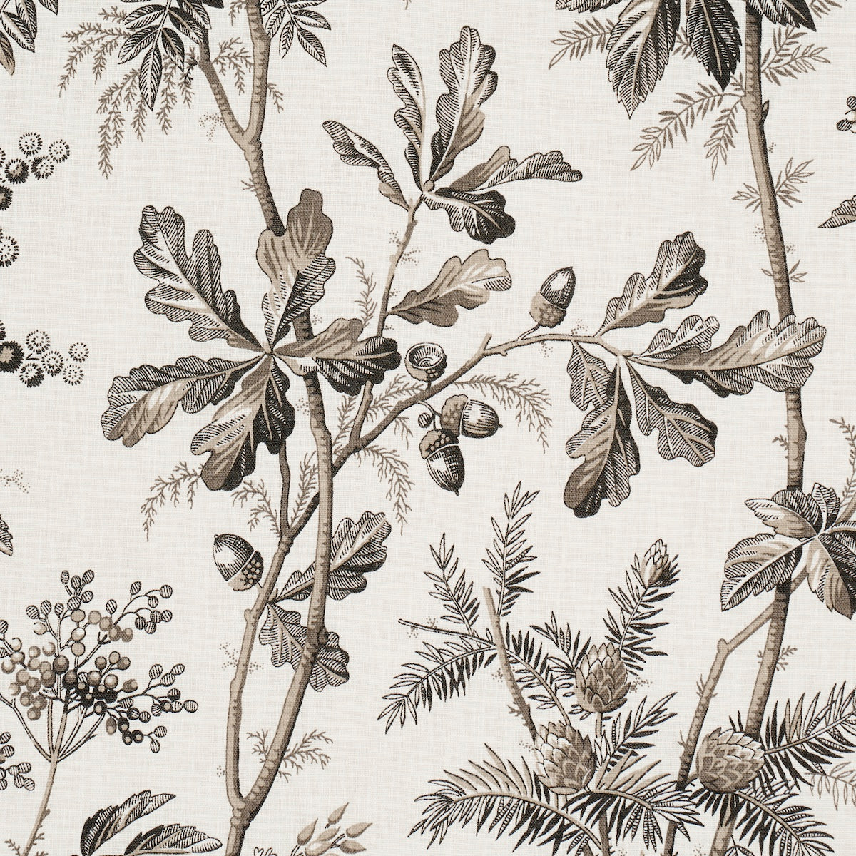 Purchase 174115 | Brantwood Vine, Graphite - Schumacher Fabric