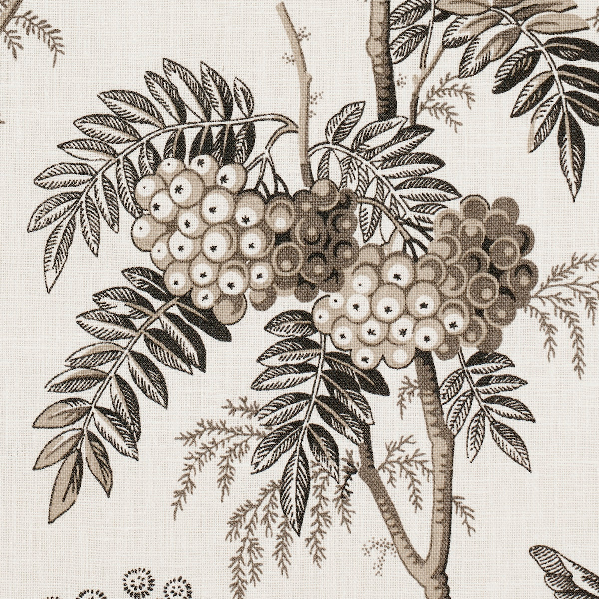 Purchase 174115 | Brantwood Vine, Graphite - Schumacher Fabric