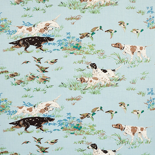 Purchase 175161 Pointers Sky by Schumacher Fabric