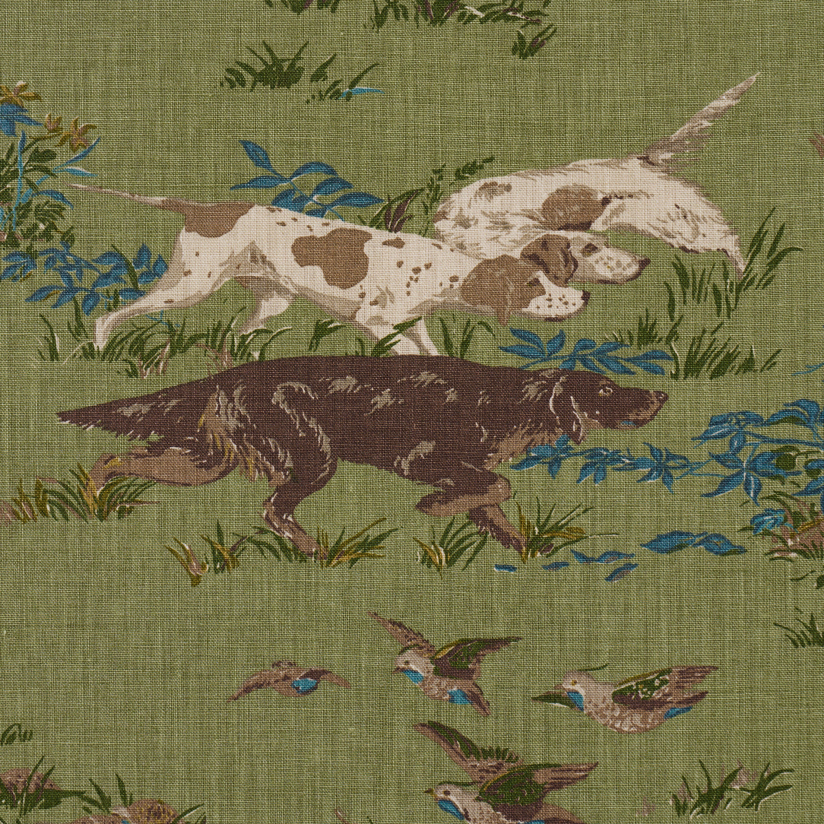 175164 | Pointers, Meadow - Schumacher Fabric
