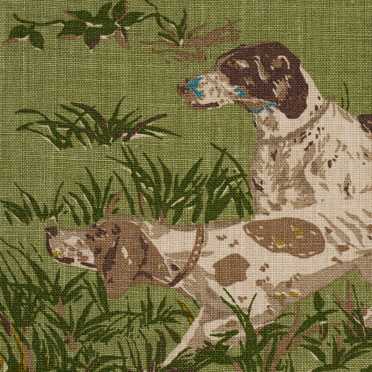 175164 | Pointers, Meadow - Schumacher Fabric