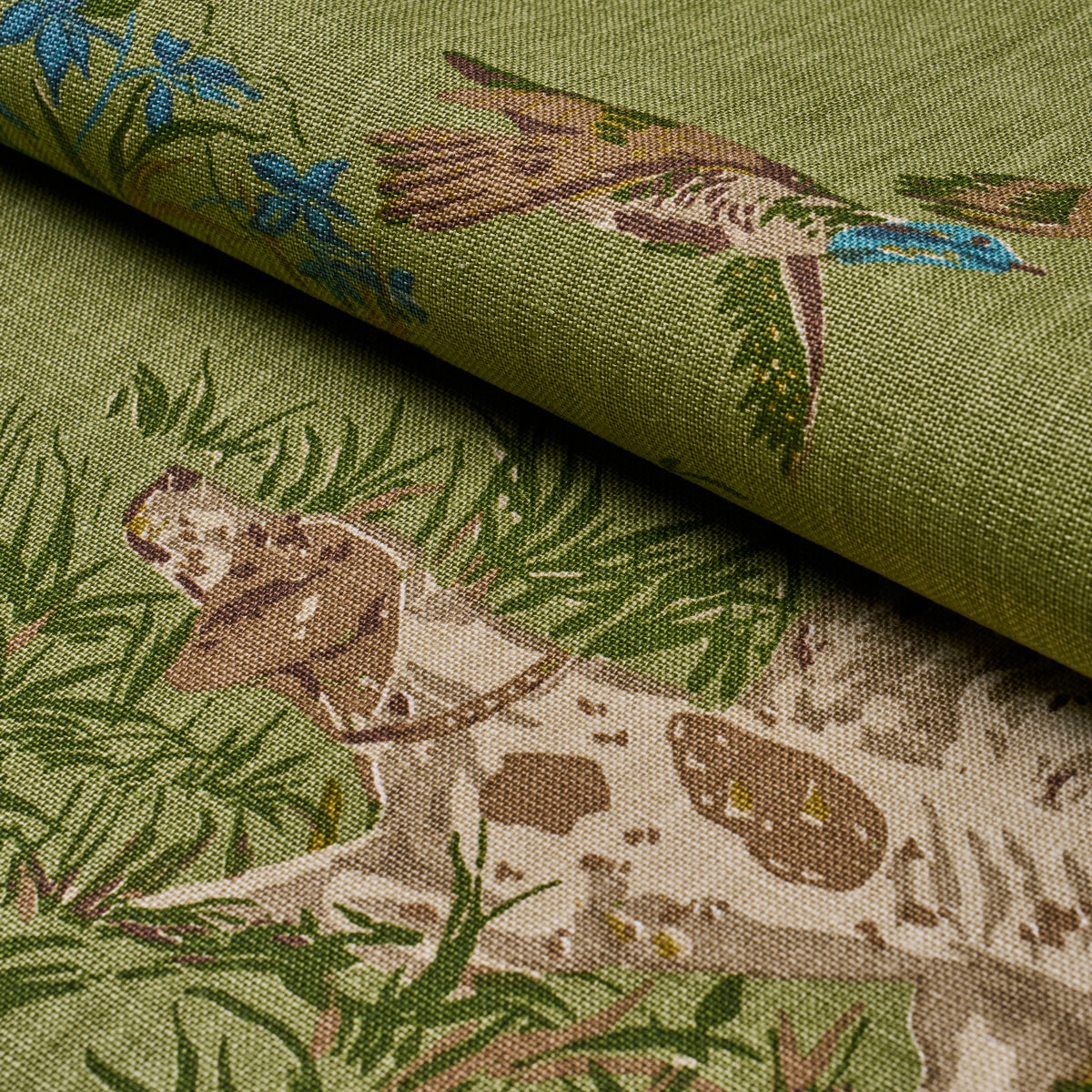 175164 | Pointers, Meadow - Schumacher Fabric