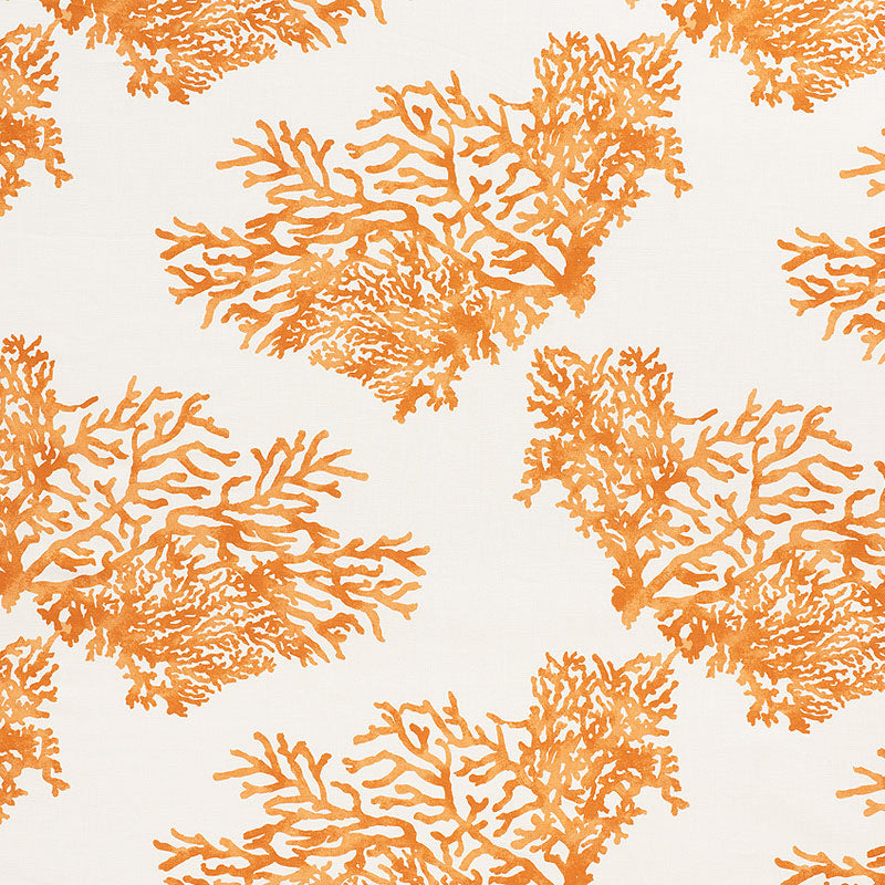 Find 175366 Great Barrier Reef Orange by Schumacher Fabric