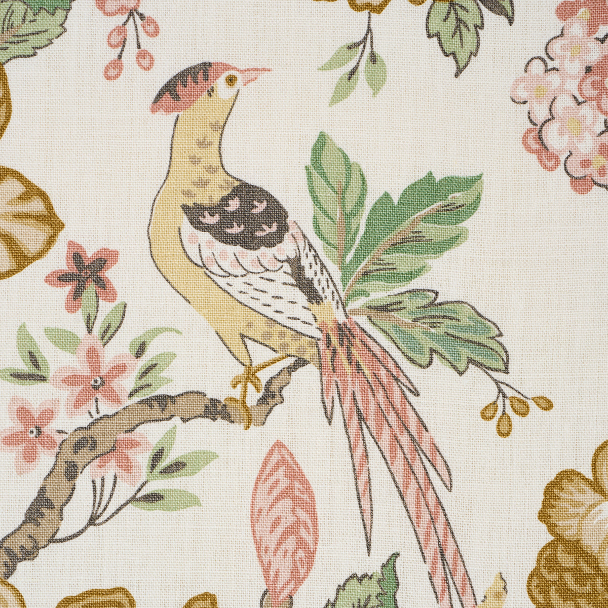 Purchase 175564 | Huntington Gardens, Petale - Schumacher Fabric