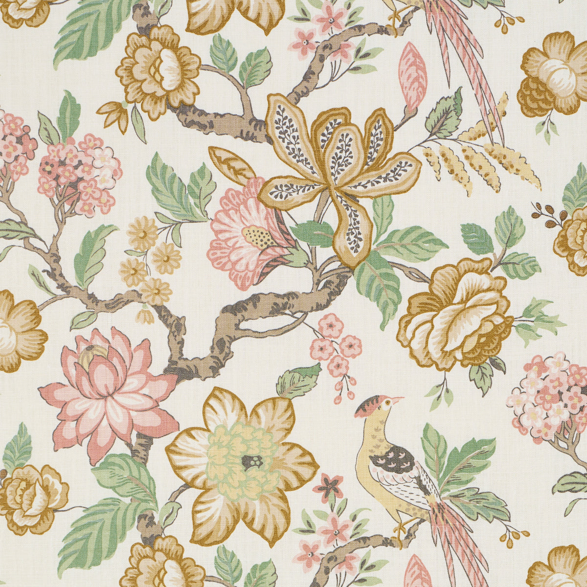 Purchase 175564 | Huntington Gardens, Petale - Schumacher Fabric