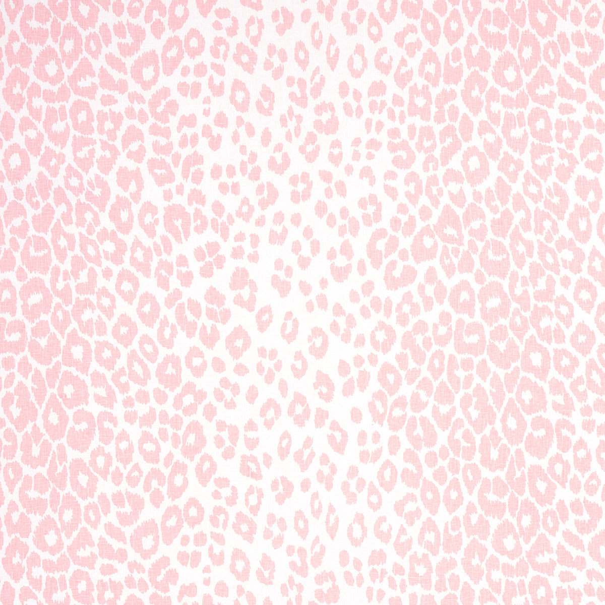 Purchase 175727 Iconic Leopard, Pink by Schumacher Fabric