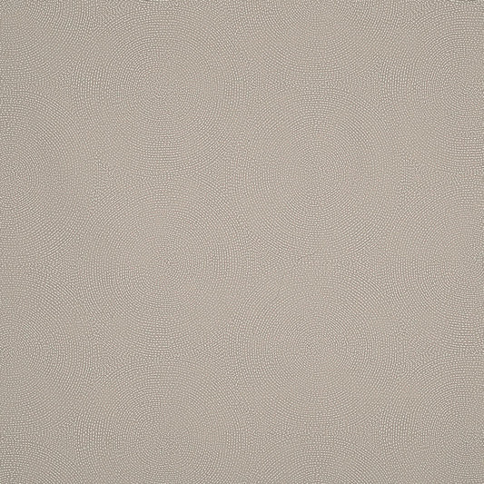 Purchase 175881 Constellation Shell by Schumacher Fabric