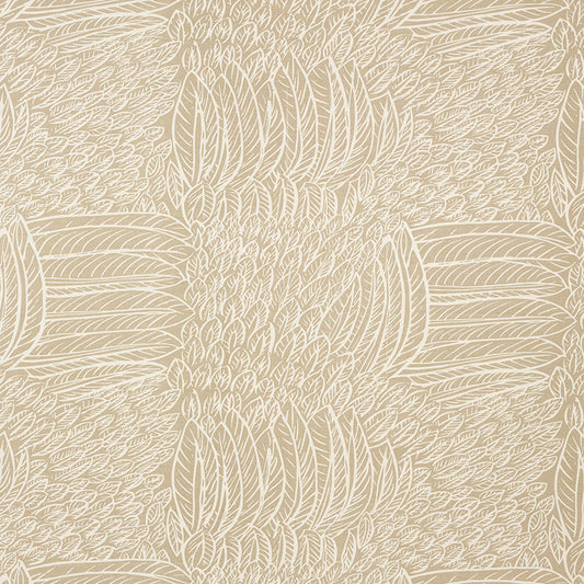 Acquire 176230 Featherfest Natural by Schumacher Fabric