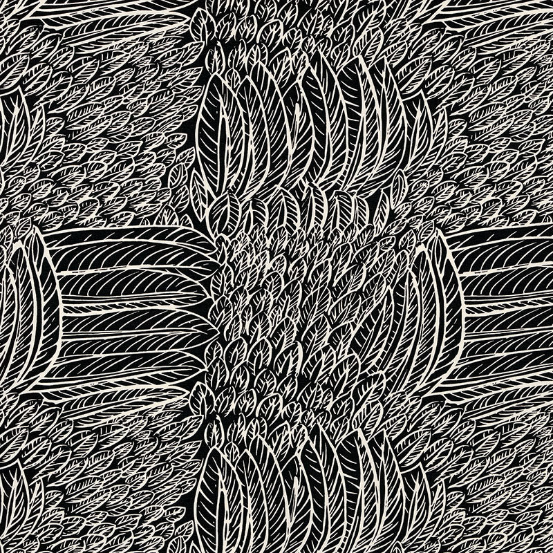 Looking 176234 Featherfest Black by Schumacher Fabric