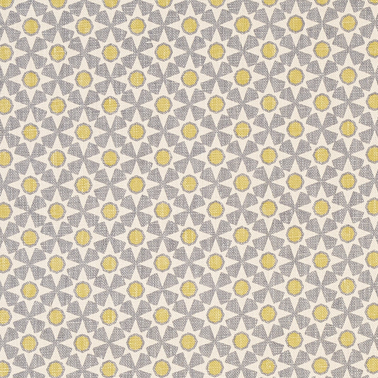 Save 176426 Serendipity Bay Citron by Schumacher Fabric