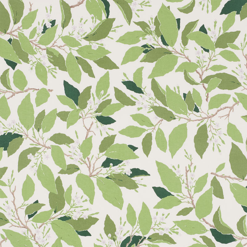 Order 176520 Dogwood Leaf Ivory by Schumacher Fabric