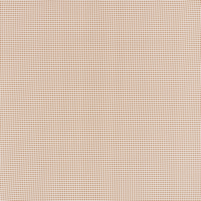 Shop 176574 Stella Ii Sand by Schumacher Fabric