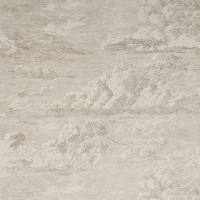 Purchase 177000 Cloud Toile Champagne by Schumacher Fabric