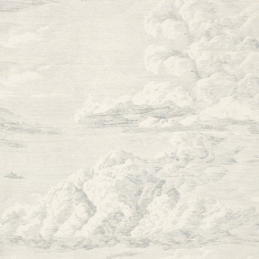 Looking 177001 Cloud Toile Delft by Schumacher Fabric