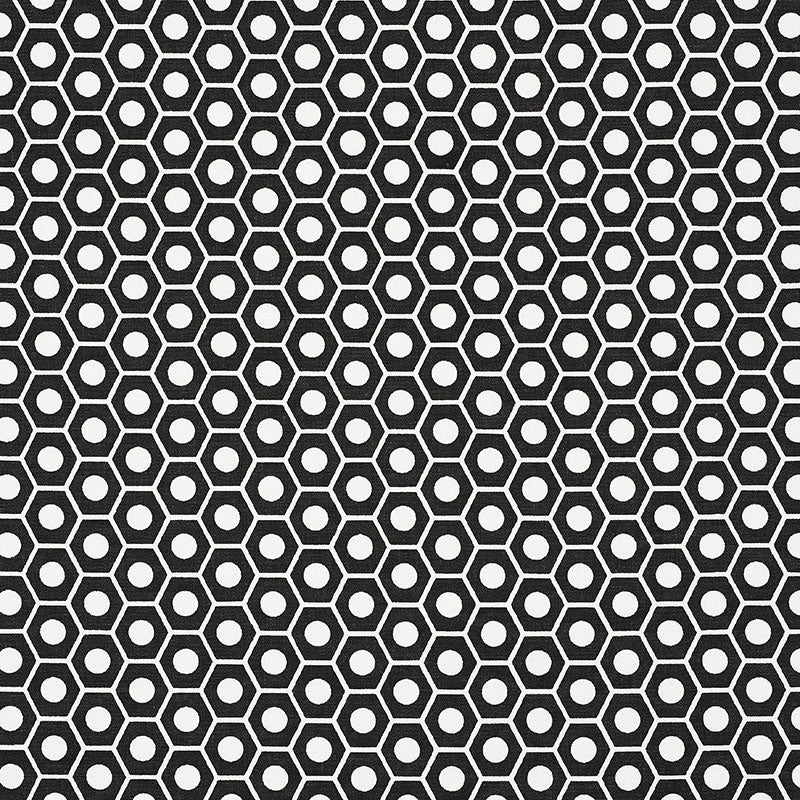 Find 177078 Queen B Black by Schumacher Fabric