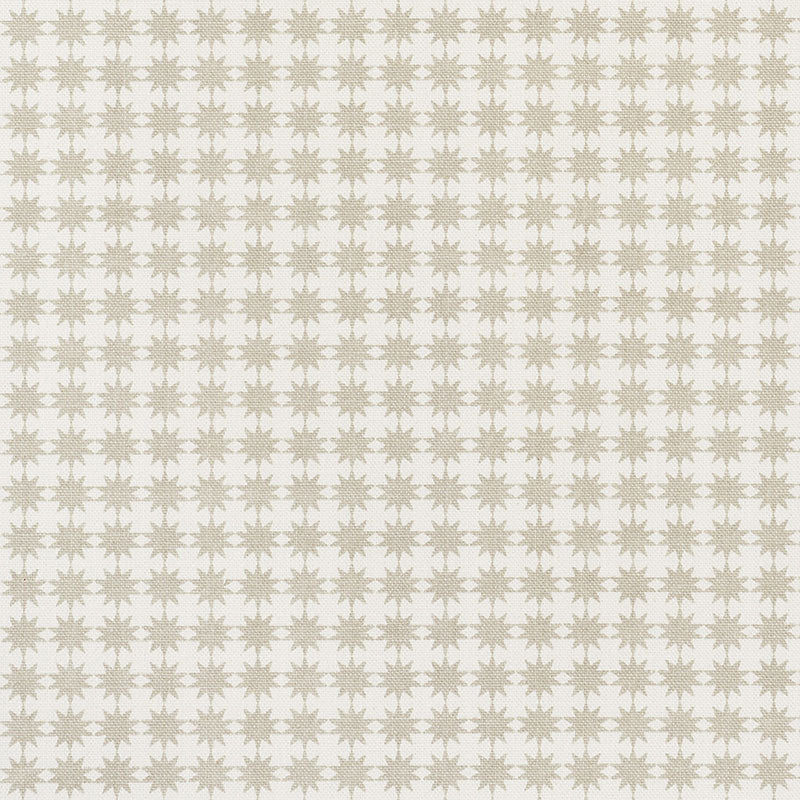 Shop 177081 Stella Taupe by Schumacher Fabric