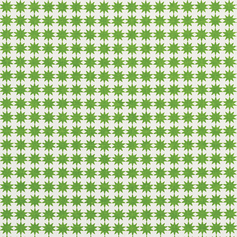 Looking 177082 Stella Green by Schumacher Fabric